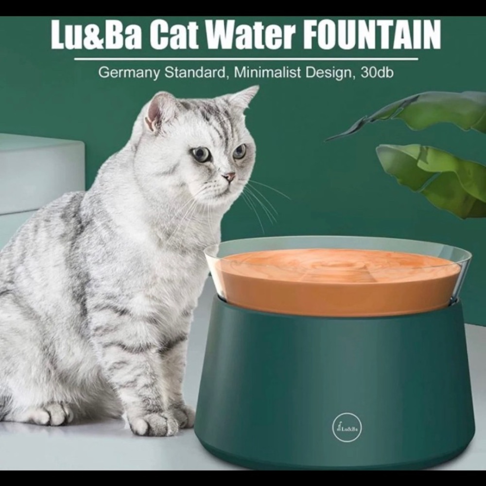 Water fountain for pet
